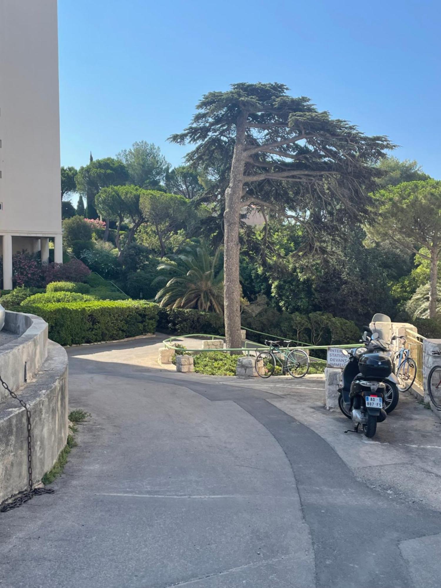Apartmán Vu Sur Mer Corniche Marseille Exteriér fotografie